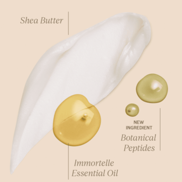 L’OCCITANE Immortelle Karite Body Balm - Kem dưỡng thể chống lão hoá làm sáng da image 2